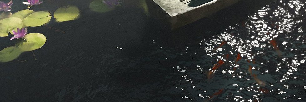 Vora banner