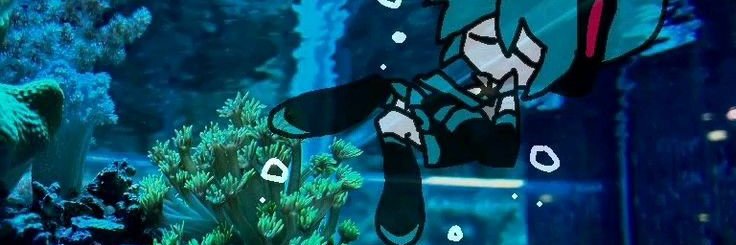 Alice's wonderland🏳️‍⚧️🇦🇺 banner