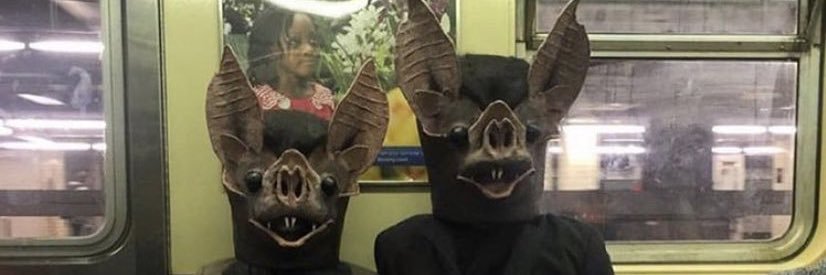 queenjanedoee's profile banner image