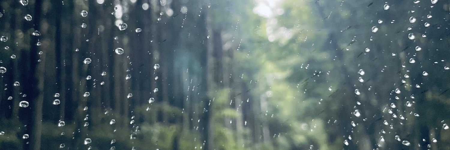 sound__of__rain's profile banner image