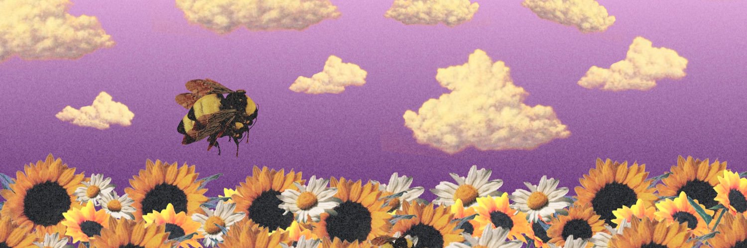 💎Diamond ⓥ💎 banner