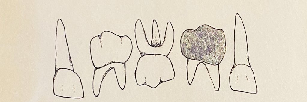 Elise Sarvas, DDS 🦷🎉 banner