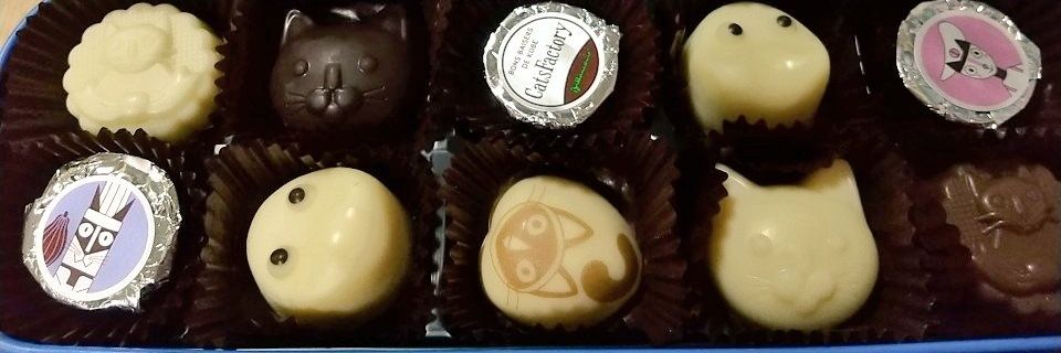 harushi_f's profile banner image