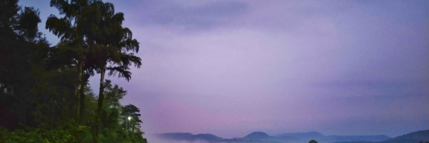 Maya_sissy banner