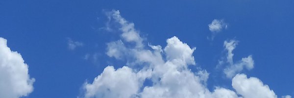nia_fajr Profile Banner