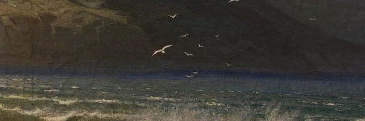 lulabyyy 🦙 banner