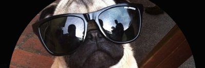 nartox. banner
