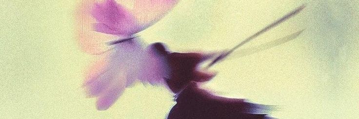 Winifred🤎 banner