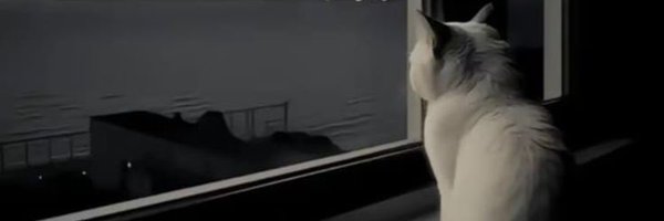 nyang20519 Profile Banner