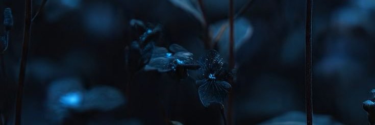 بَيْن بَيْن banner