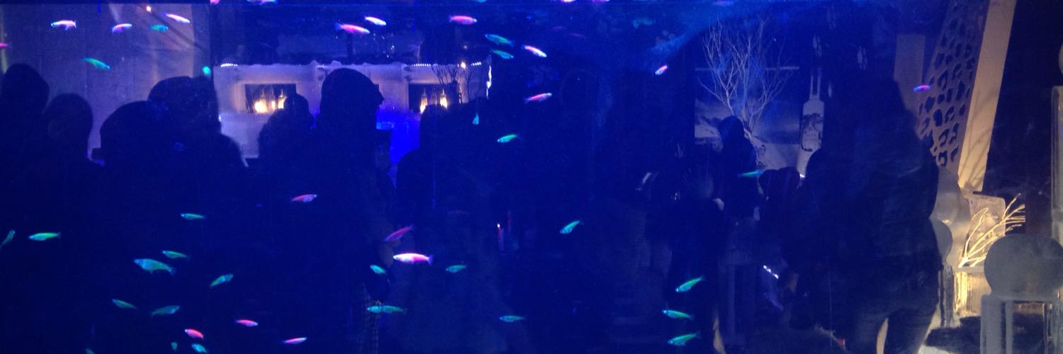pai0610's profile banner image