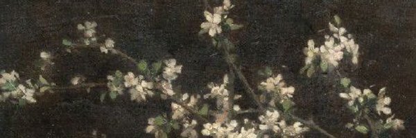 meadowlarium Profile Banner