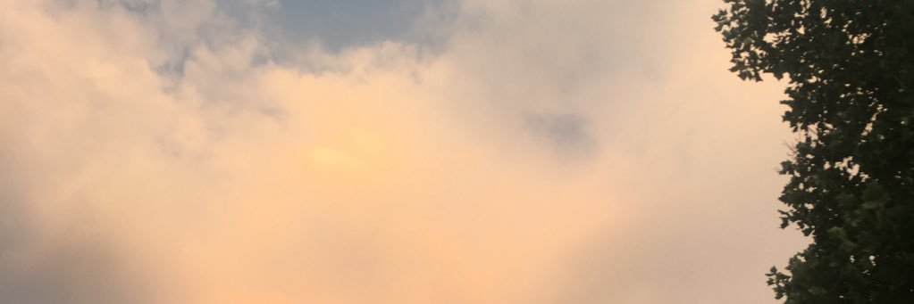 averymilner_'s profile banner image