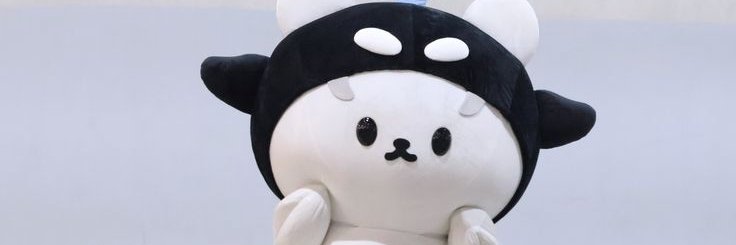 pthuwin's profile banner image