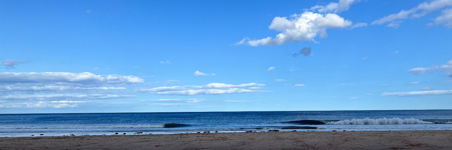 Loena #freepalestine #wearetheuniversity banner