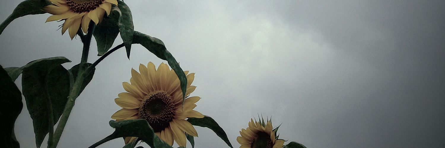 IsnaMufi's profile banner image