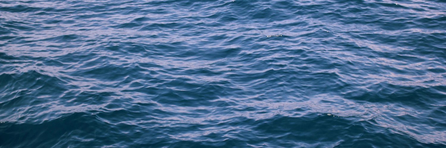 UsaPalm's profile banner image