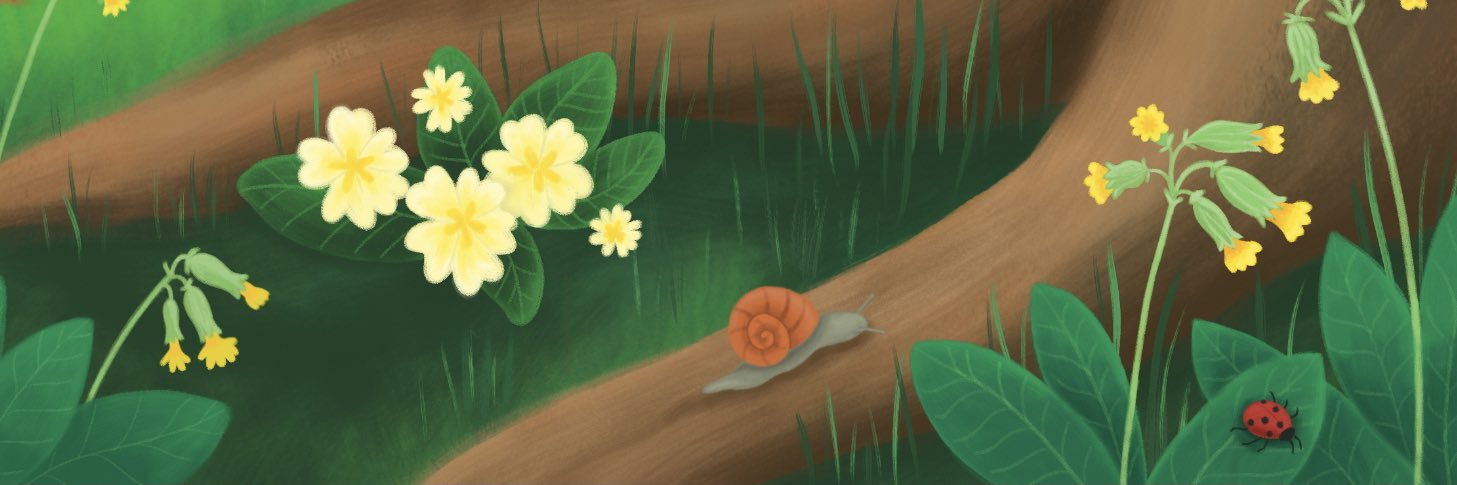 Lucy_Boden's profile banner image