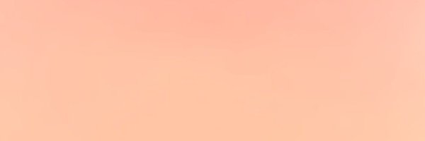 merrygoround95 Profile Banner