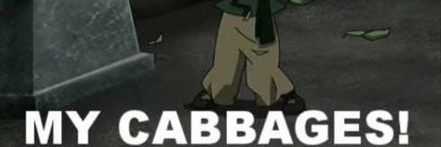 THE CABBAGE MAN 🥬 banner