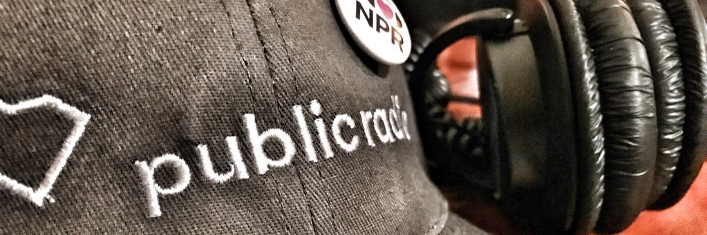 Victoria Hansen banner