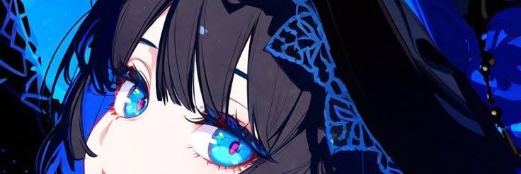dulpikasu's profile banner image