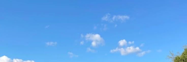 cutest pup of EDtwt IFB banner