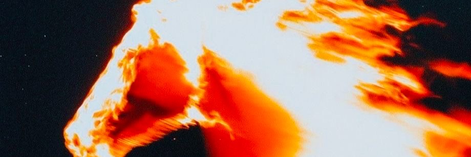 franzscm's profile banner image