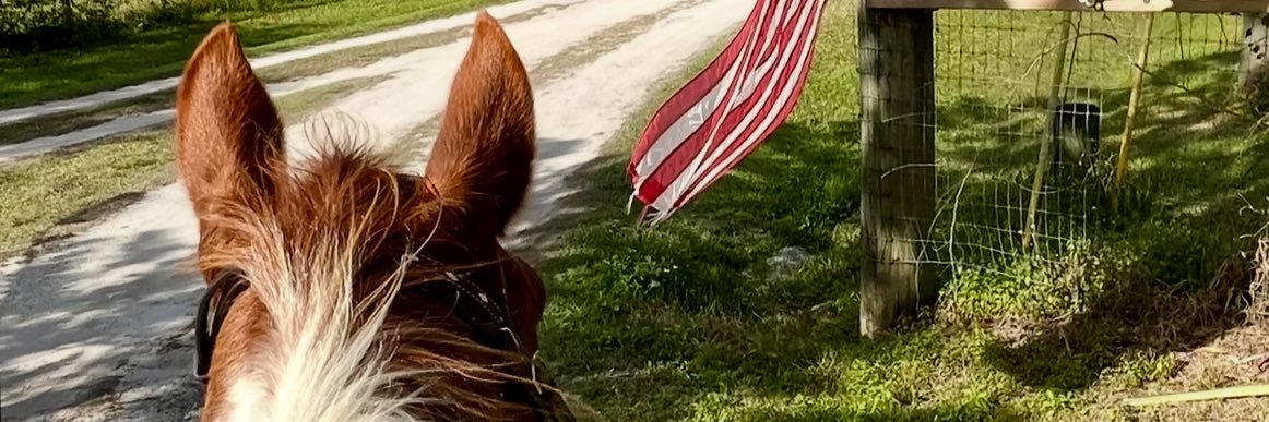 KristinD_FL's profile banner image