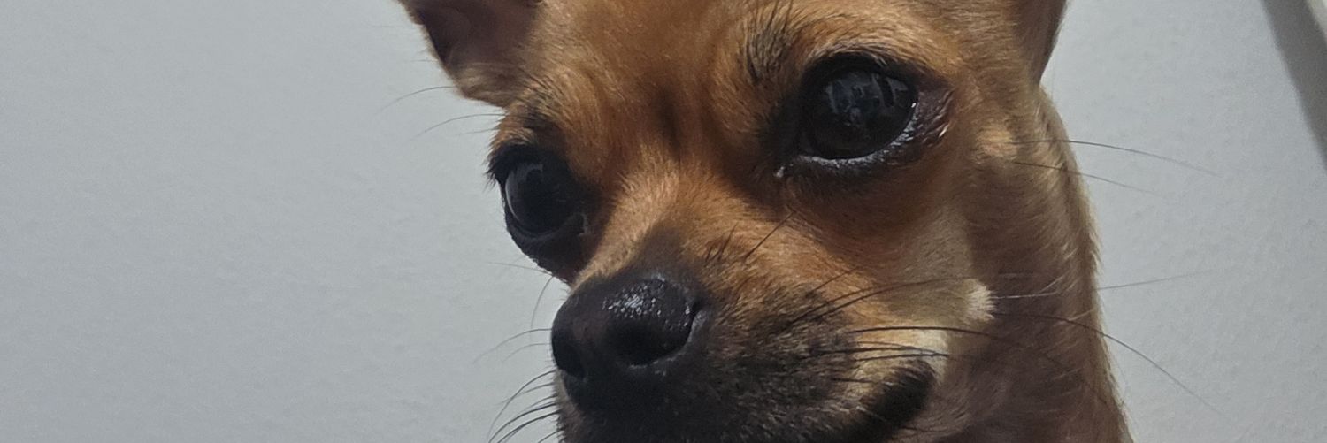 edu_ratier's profile banner image