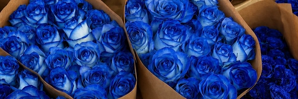 SabelleBlu's profile banner image