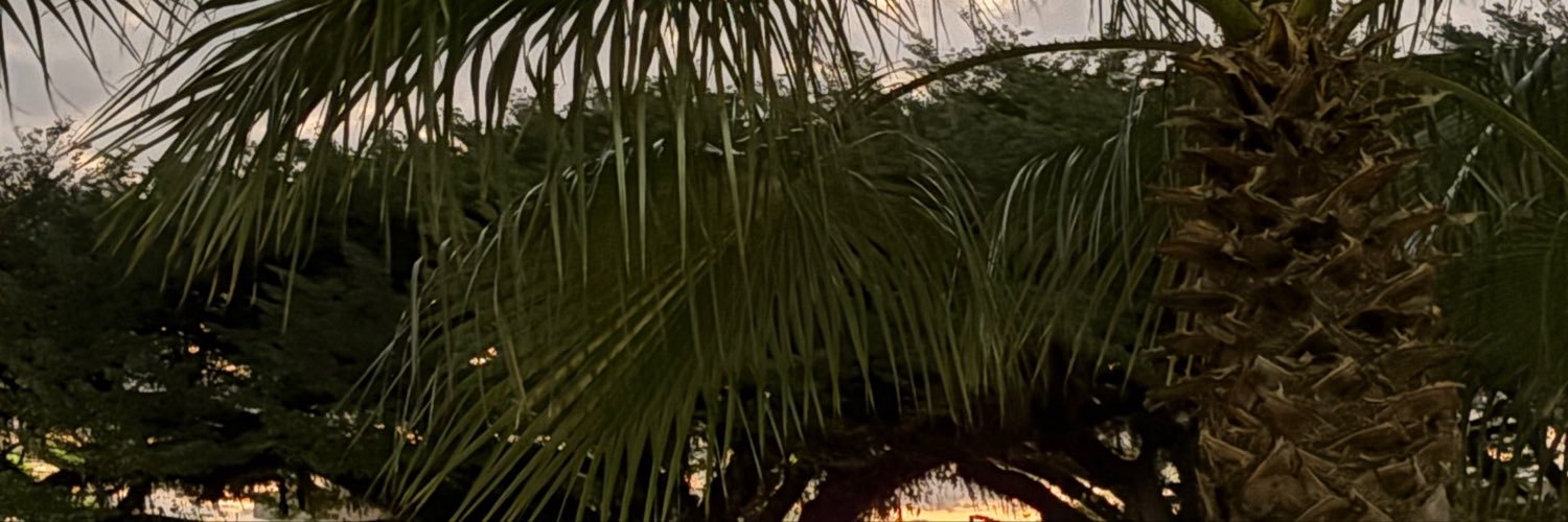 bey_bellila's profile banner image