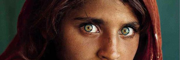 Ignasi Calbó banner