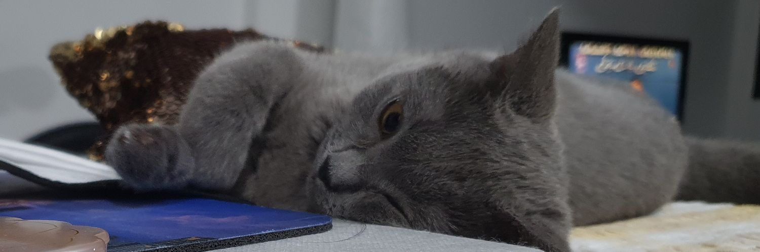 L_idris's profile banner image