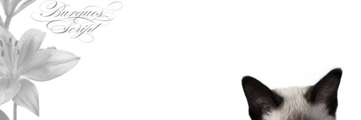 mar 🐈‍⬛ banner