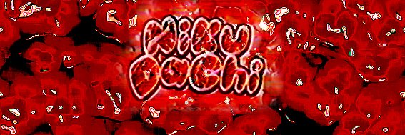 nikudachi 🥩 banner