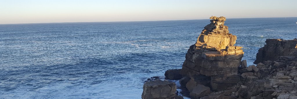 Andrea Schmidt banner