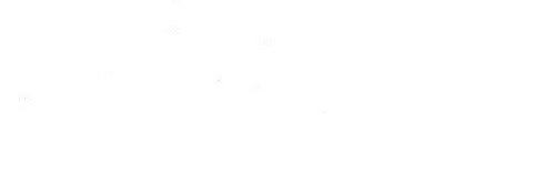 Steph Gianninelli banner