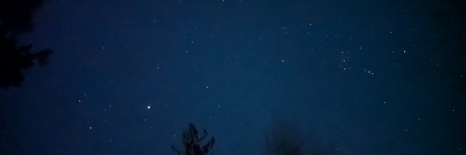 Partibartfast banner