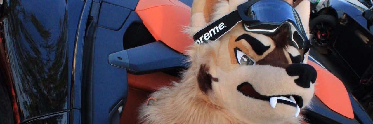 Sparky_Floof's profile banner image