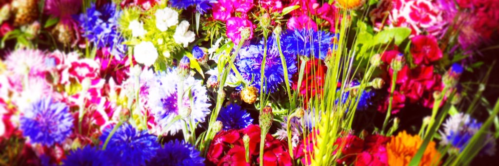 Rosey_Gee's profile banner image