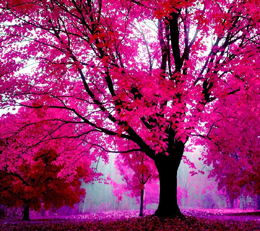 Sofia_Cristerna's profile banner image