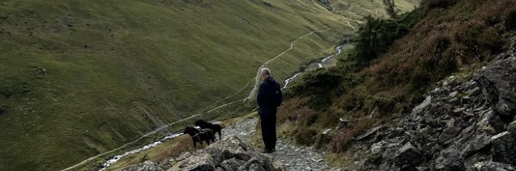 higs8's profile banner image