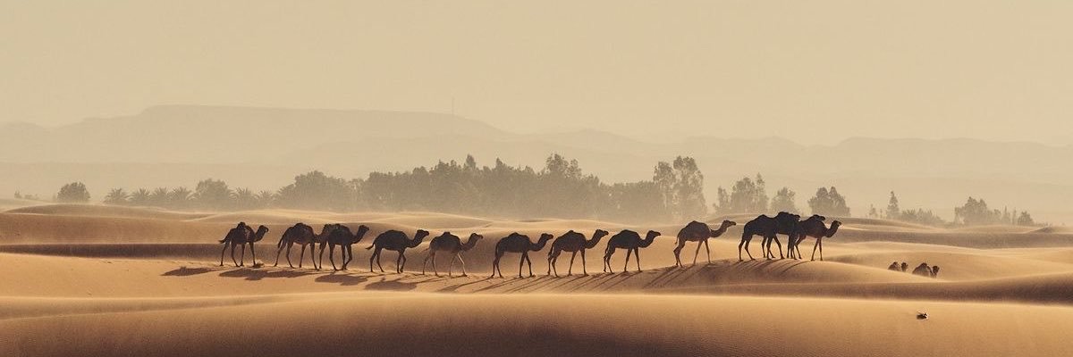 9sfrl's profile banner image