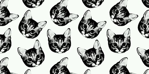 Tiaraoctvnr_'s profile banner image