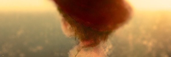 mittye97 Profile Banner