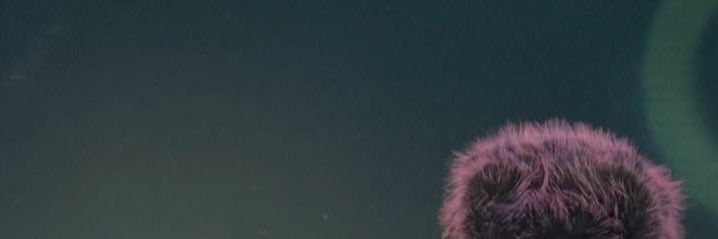 _bichx's profile banner image