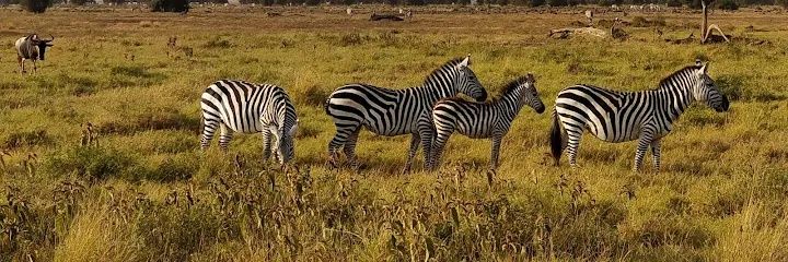 LepariTours's profile banner image