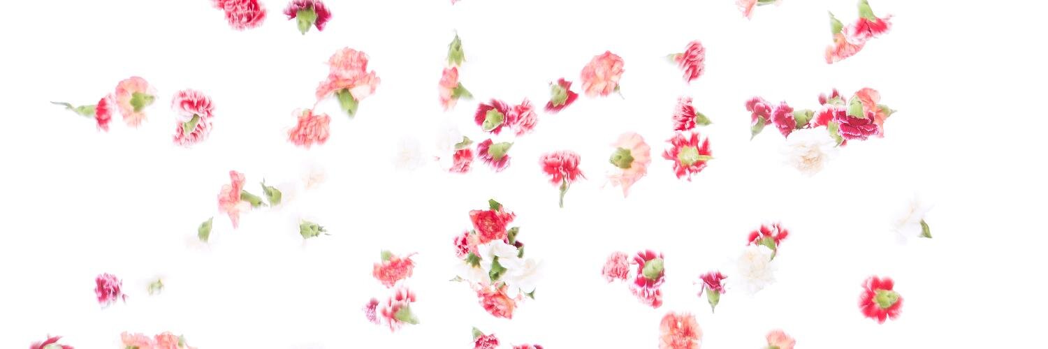 AshBryHo's profile banner image