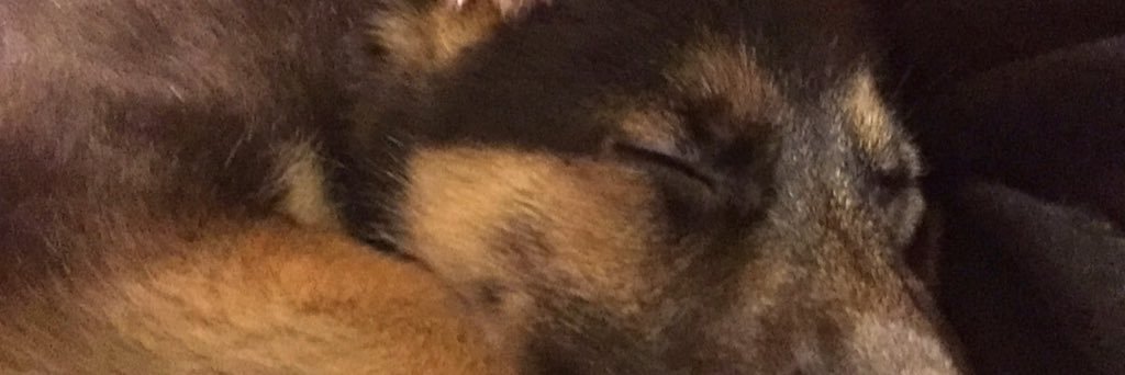 kaylarader's profile banner image